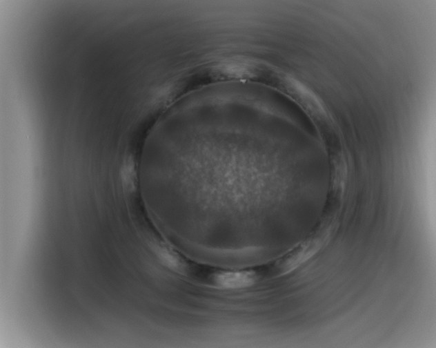 X0000115600465200911171132