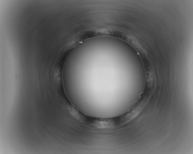 X0000115600466200911171132