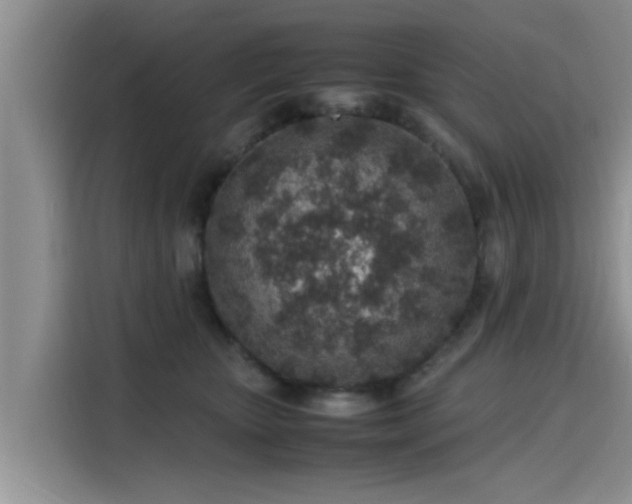 X0000115600467200911171132