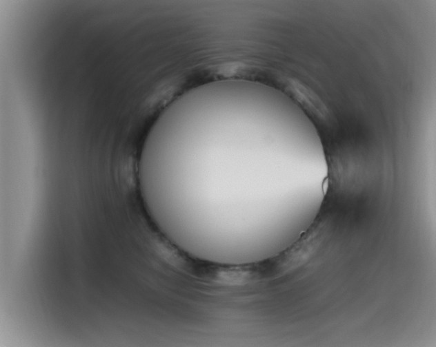 X0000115600470200911171132