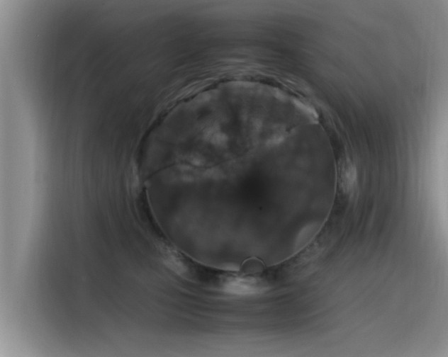 X0000115600471200911171132