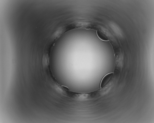 X0000115600474200911171132