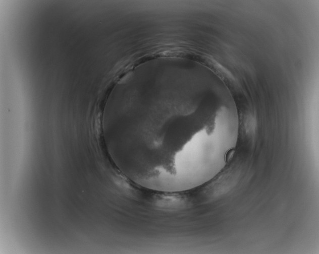 X0000115600475200911171132