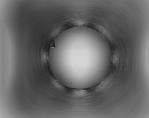 X0000115600476200911171132