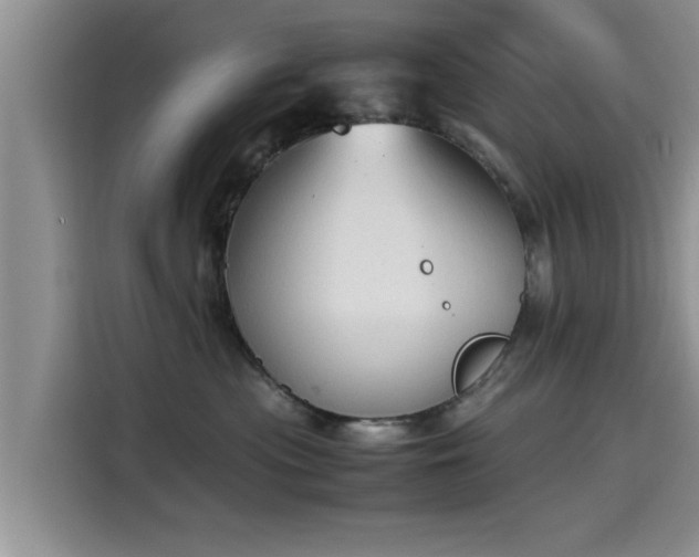 X0000115600477200911171132