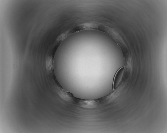 X0000115600478200911171132