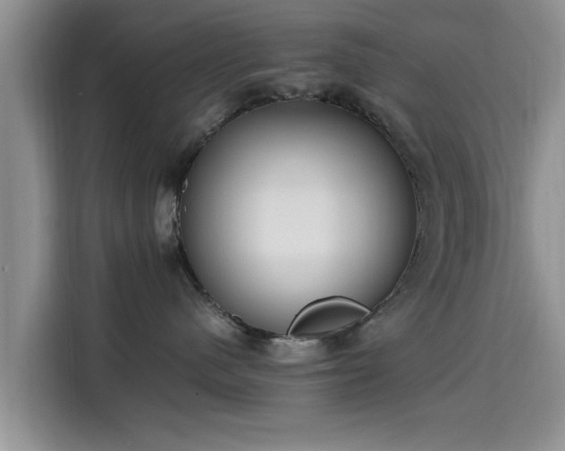 X0000115600480200911171132