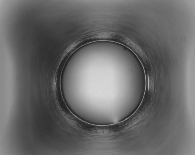 X0000115600483200911171131