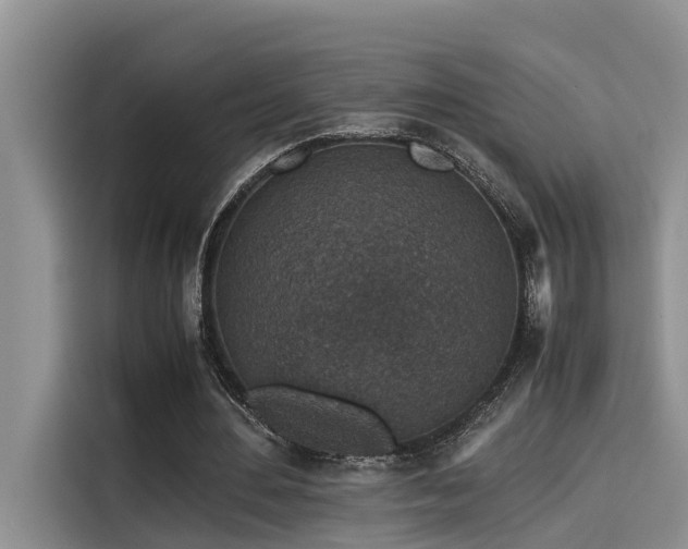 X0000115600484200911171131