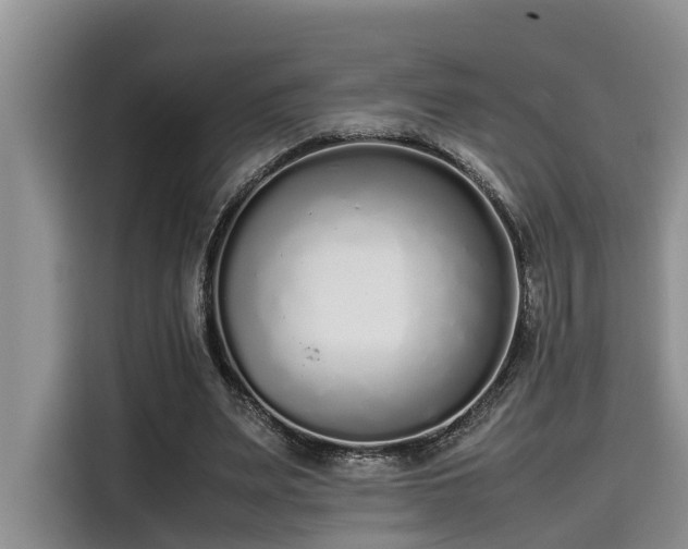 X0000115600487200911171131