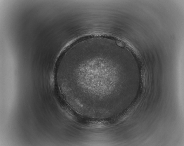 X0000115600488200911171131