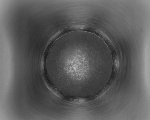 X0000115600492200911171131