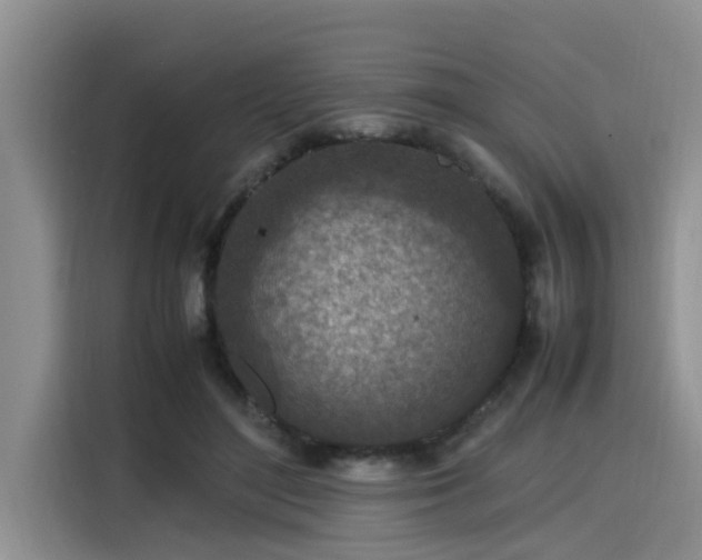 X0000115600500200911171131