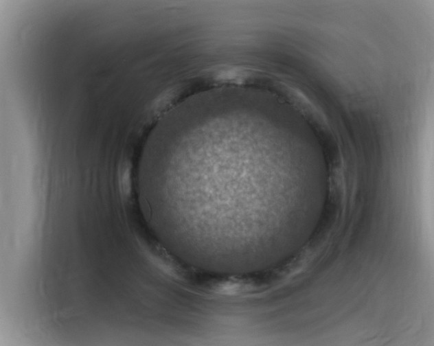 X0000115600504200911171131