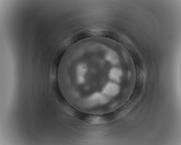 X0000115600507200911171131