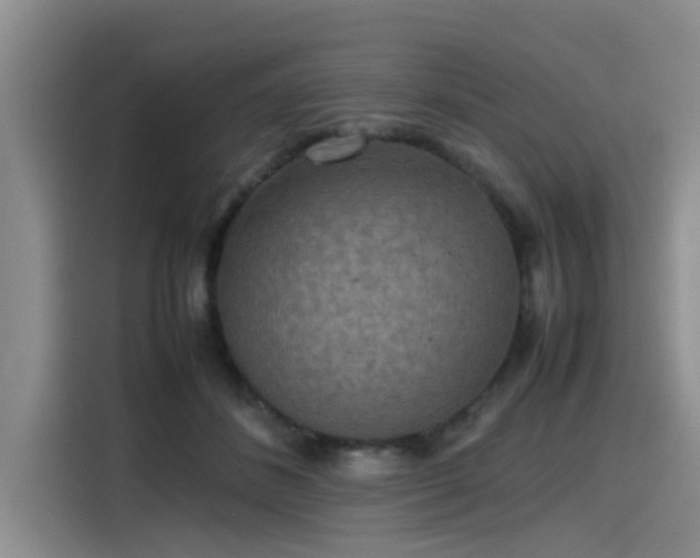 X0000115600508200911171131