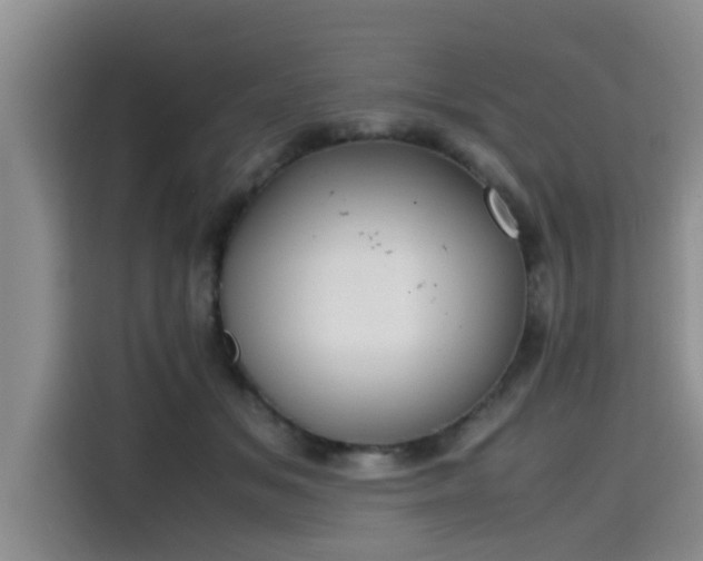 X0000115600509200911171131