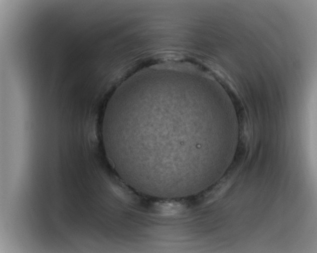 X0000115600512200911171131