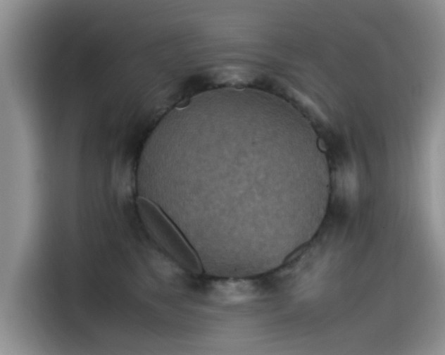 X0000115600517200911171131