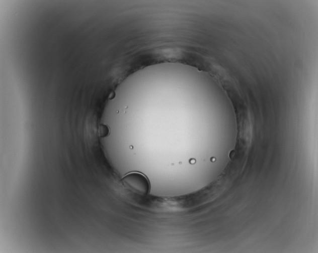 X0000115600518200911171131