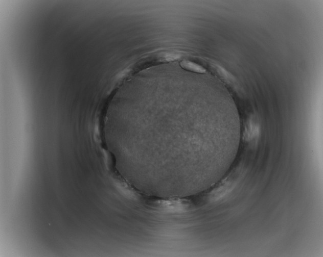 X0000115600524200911171131