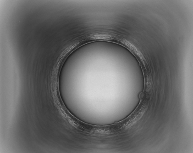 X0000115600529200911171130