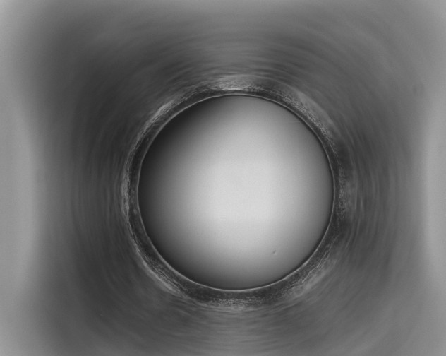 X0000115600530200911171130