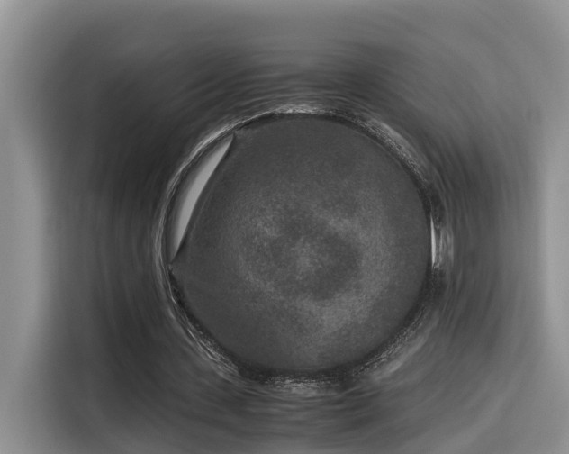 X0000115600531200911171130