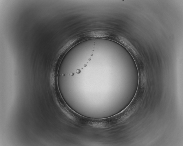 X0000115600533200911171130