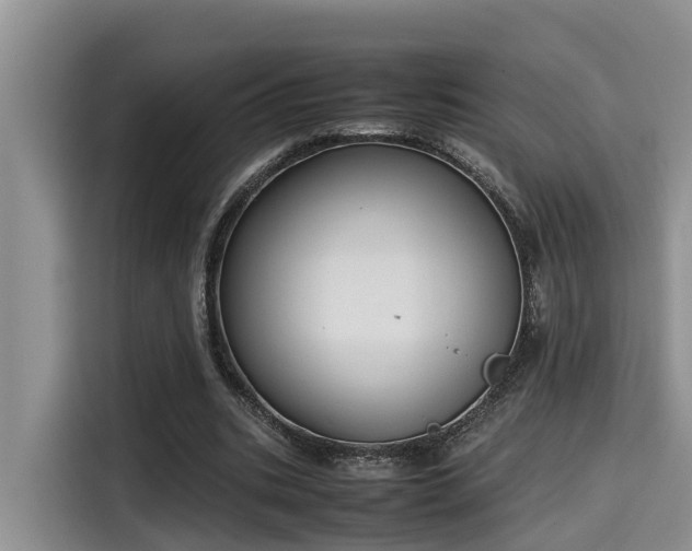 X0000115600535200911171130