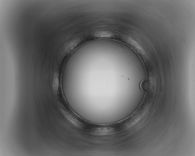 X0000115600541200911171130