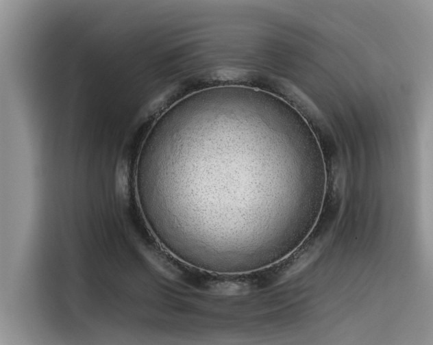 X0000115600542200911171130