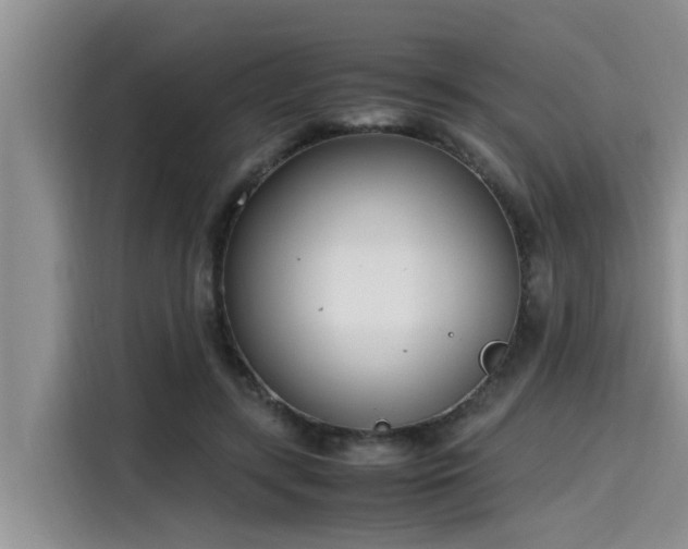 X0000115600547200911171130