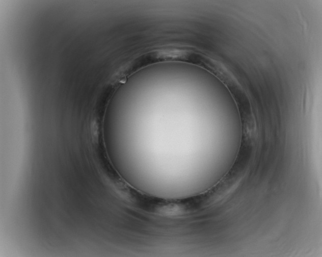 X0000115600551200911171130