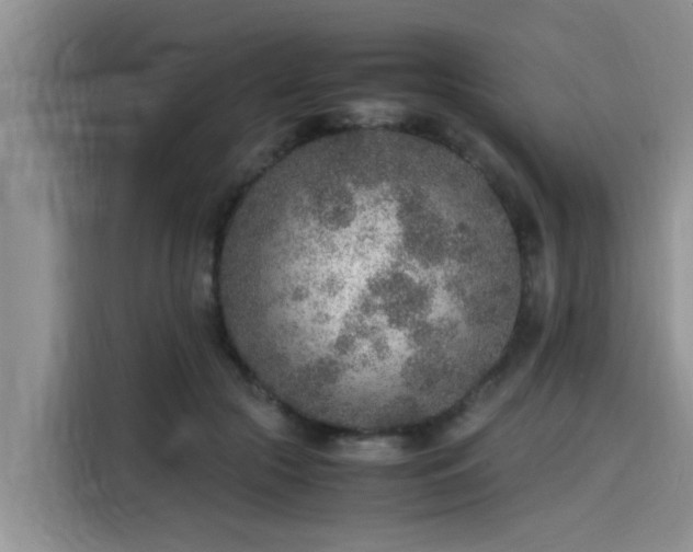 X0000115600553200911171130