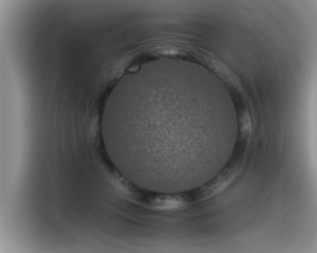 X0000115600559200911171130