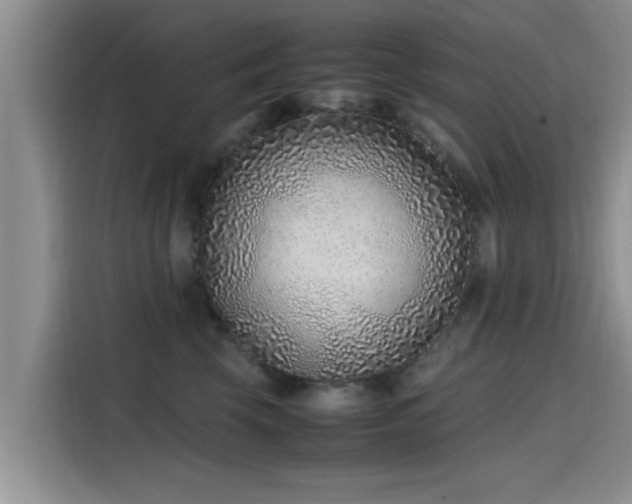 X0000115600569200911171130