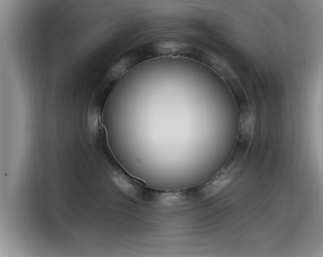 X0000115600574200911171130