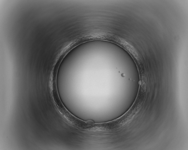 X0000115600578200911171130