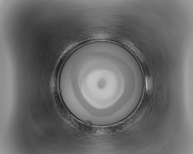 X0000115600579200911171130