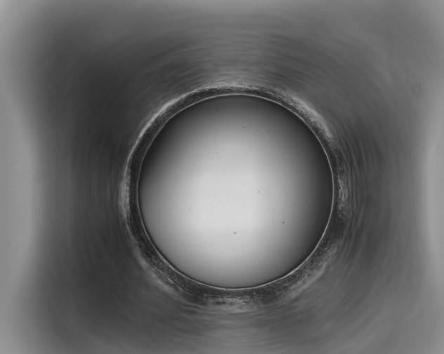 X0000115600580200911171130