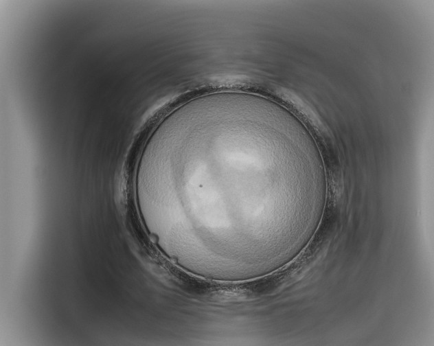 X0000115600583200911171130