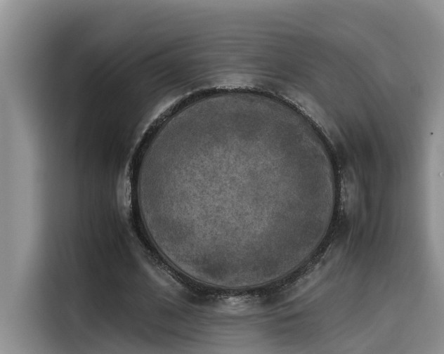 X0000115600584200911171130