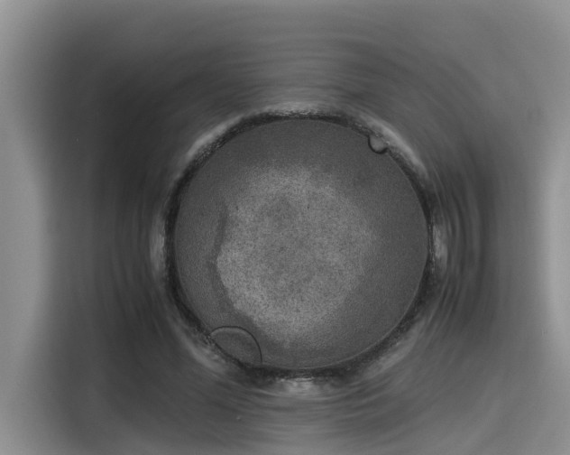 X0000115600588200911171130