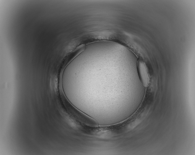 X0000115600589200911171130