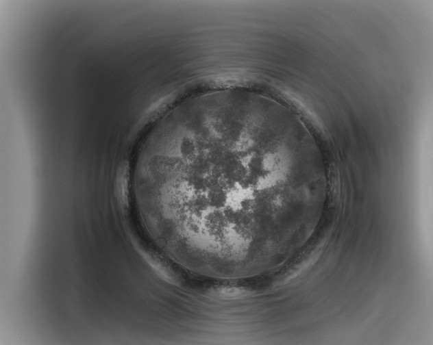 X0000115600590200911171130