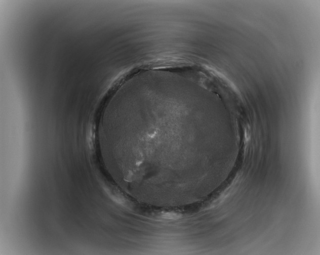 X0000115600592200911171130