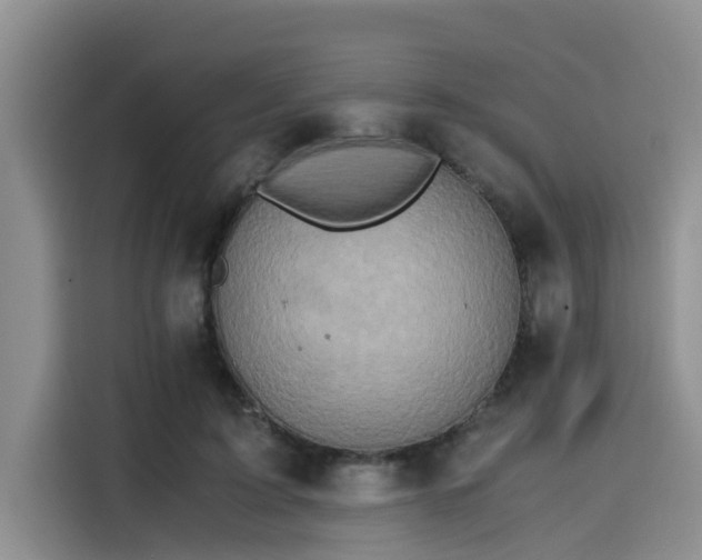 X0000115600595200911171130