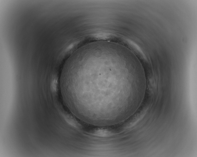 X0000115600596200911171130