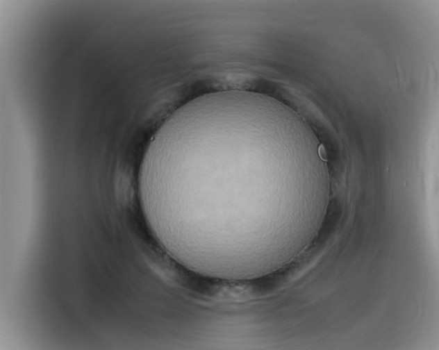 X0000115600599200911171130